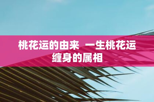 桃花运的由来 一生桃花运缠身的属相