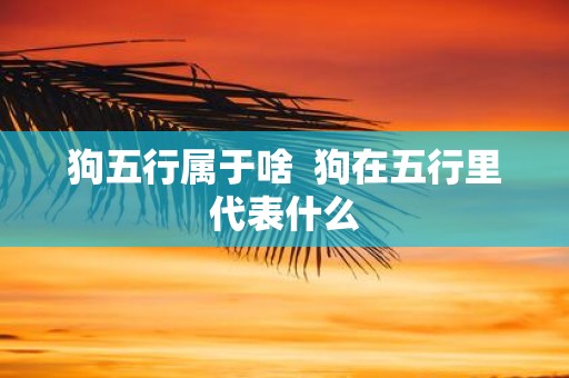 狗五行属于啥 狗在五行里代表什么