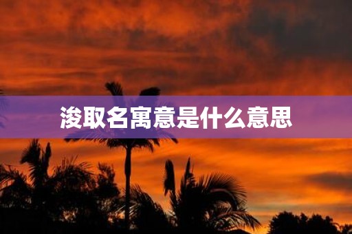 浚取名寓意是什么意思