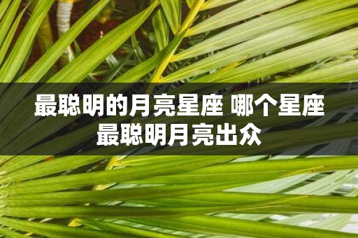 最聪明的月亮星座 哪个星座最聪明月亮出众