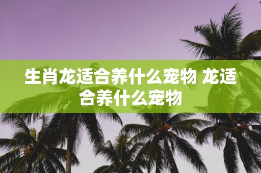 生肖龙适合养什么宠物 龙适合养什么宠物