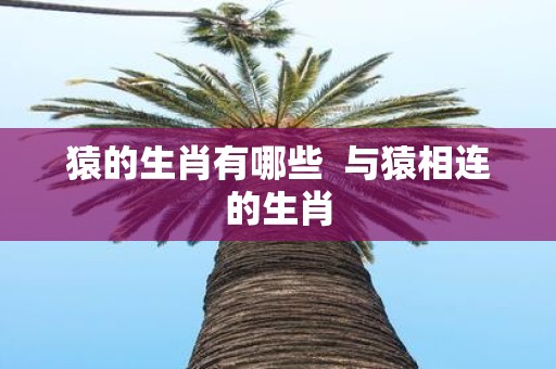 猿的生肖有哪些 与猿相连的生肖