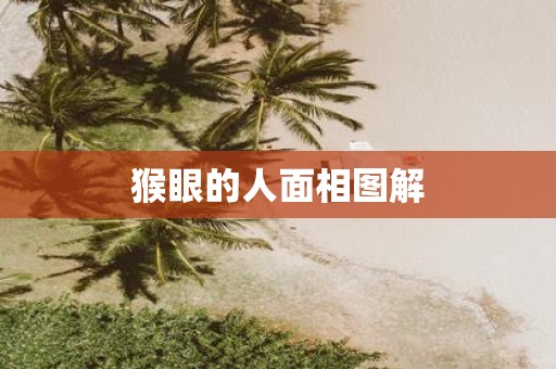 猴眼的人面相图解