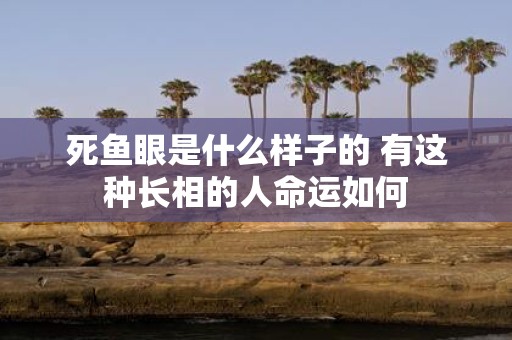 死鱼眼是什么样子的 有这种长相的人命运如何