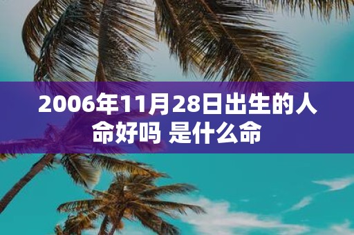 2006年11月28日出生的人命好吗 是什么命
