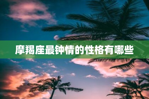摩羯座最钟情的性格有哪些