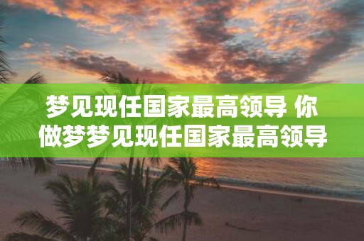 梦见现任国家最高领导 你做梦梦见现任国家最高领导了吗