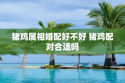 猪鸡属相婚配好不好 猪鸡配对合适吗