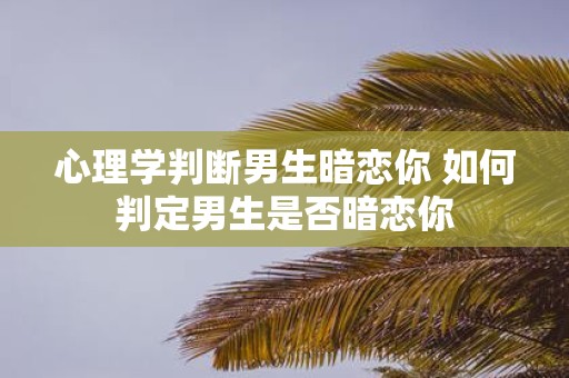 心理学判断男生暗恋你 如何判定男生是否暗恋你