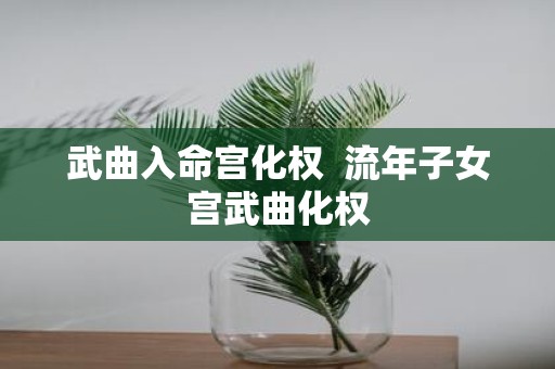 武曲入命宫化权 流年子女宫武曲化权