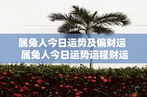 属兔人今日运势及偏财运 属兔人今日运势运程财运如何