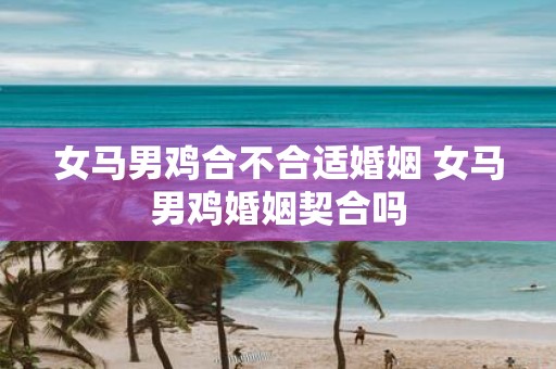 女马男鸡合不合适婚姻 女马男鸡婚姻契合吗
