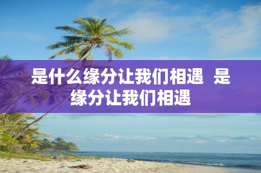 是什么缘分让我们相遇 是缘分让我们相遇