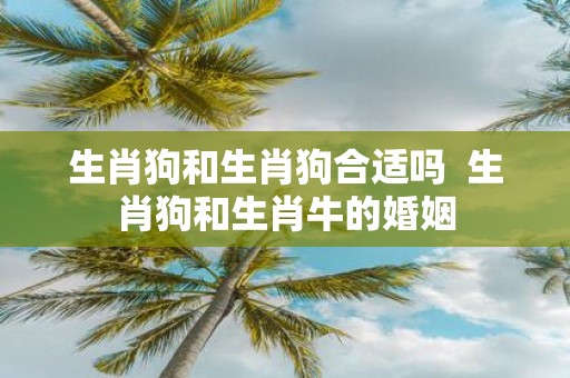 生肖狗和生肖狗合适吗 生肖狗和生肖牛的婚姻