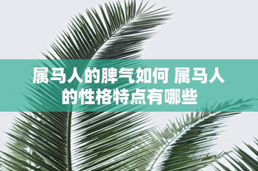 属马人的脾气如何 属马人的性格特点有哪些