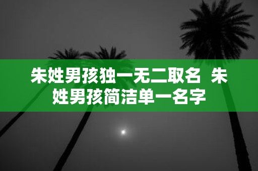 朱姓男孩独一无二取名 朱姓男孩简洁单一名字