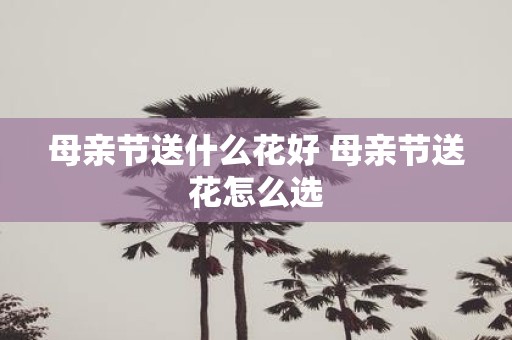 母亲节送什么花好 母亲节送花怎么选