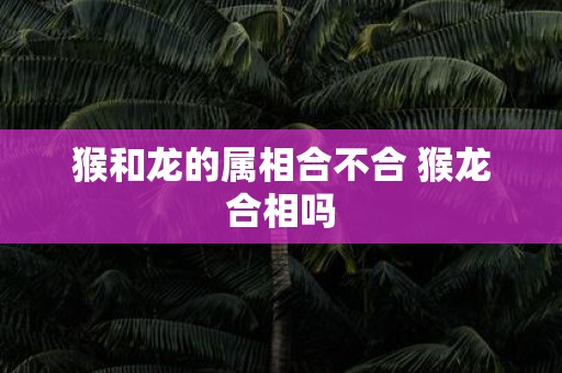 猴和龙的属相合不合 猴龙合相吗