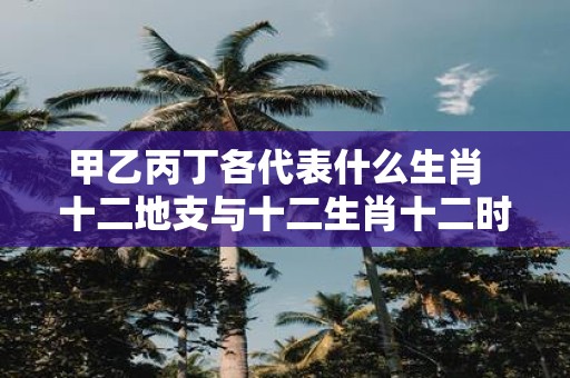 甲乙丙丁各代表什么生肖 十二地支与十二生肖十二时辰