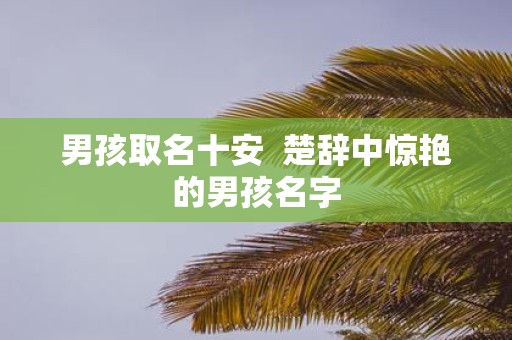 男孩取名十安 楚辞中惊艳的男孩名字