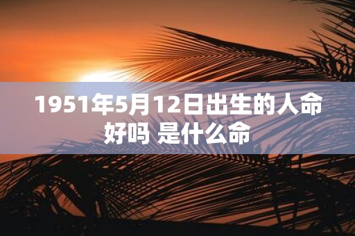 1951年5月12日出生的人命好吗 是什么命