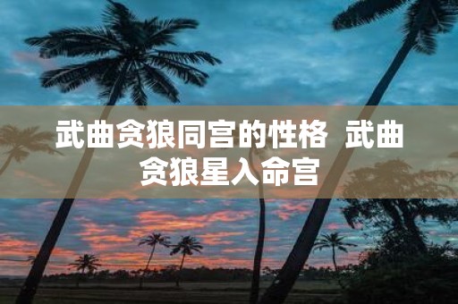 武曲贪狼同宫的性格 武曲贪狼星入命宫