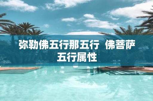 弥勒佛五行那五行 佛菩萨五行属性