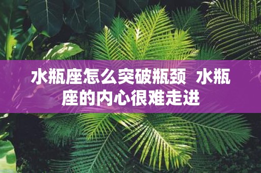 水瓶座怎么突破瓶颈 水瓶座的内心很难走进
