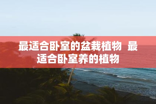 最适合卧室的盆栽植物 最适合卧室养的植物