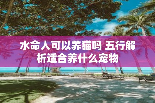 水命人可以养猫吗 五行解析适合养什么宠物