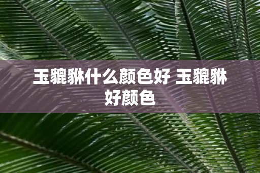 玉貔貅什么颜色好 玉貔貅好颜色