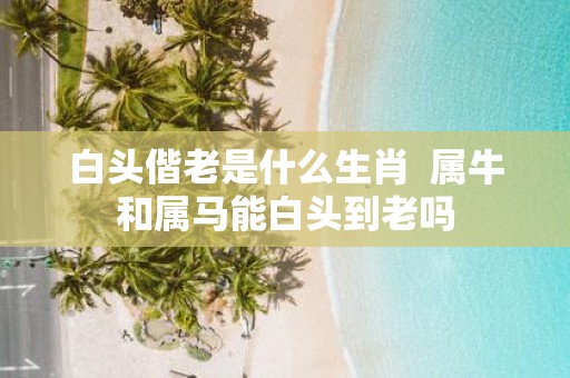 白头偕老是什么生肖 属牛和属马能白头到老吗