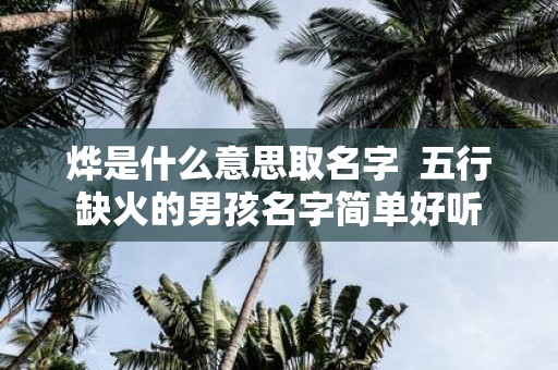烨是什么意思取名字 五行缺火的男孩名字简单好听