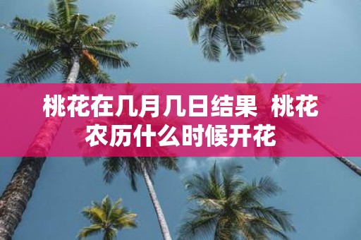 桃花在几月几日结果 桃花农历什么时候开花