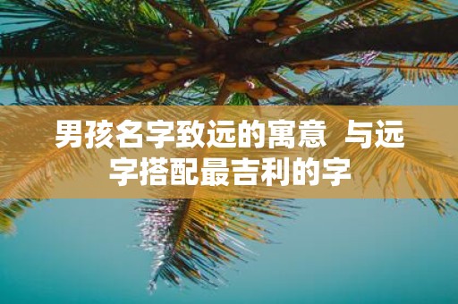 男孩名字致远的寓意 与远字搭配最吉利的字