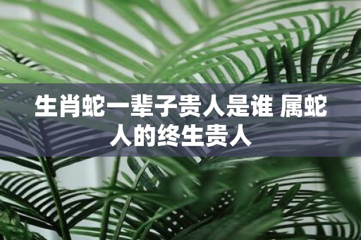 生肖蛇一辈子贵人是谁 属蛇人的终生贵人