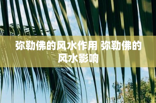 弥勒佛的风水作用 弥勒佛的风水影响