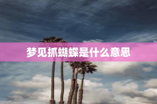 梦见抓蝴蝶是什么意思