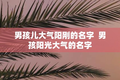 男孩儿大气阳刚的名字 男孩阳光大气的名字
