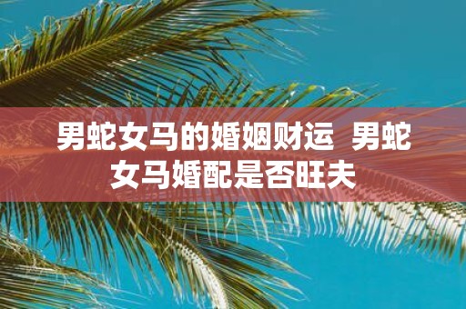 男蛇女马的婚姻财运 男蛇女马婚配是否旺夫