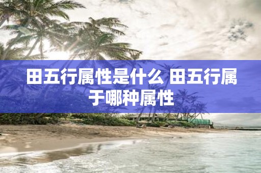 田五行属性是什么 田五行属于哪种属性