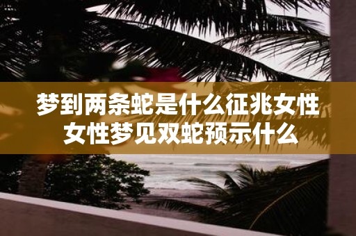 梦到两条蛇是什么征兆女性 女性梦见双蛇预示什么