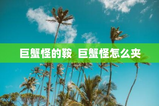 巨蟹怪的鞍 巨蟹怪怎么夹