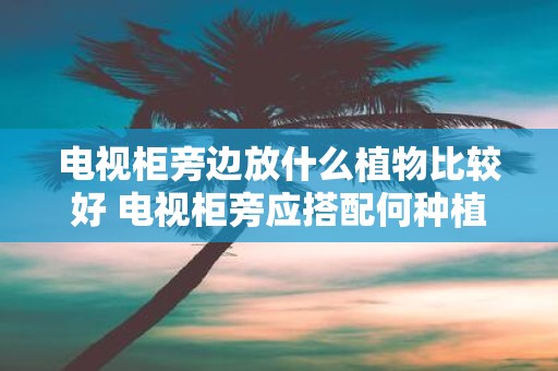电视柜旁边放什么植物比较好 电视柜旁应搭配何种植物