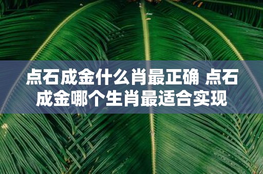 点石成金什么肖最正确 点石成金哪个生肖最适合实现