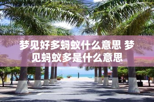 梦见好多蚂蚁什么意思 梦见蚂蚁多是什么意思
