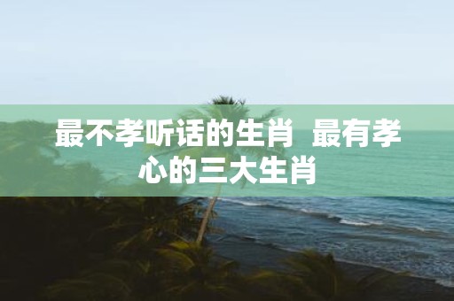 最不孝听话的生肖 最有孝心的三大生肖