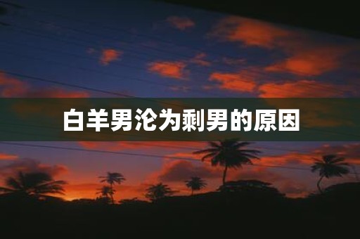 白羊男沦为剩男的原因