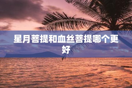 星月菩提和血丝菩提哪个更好