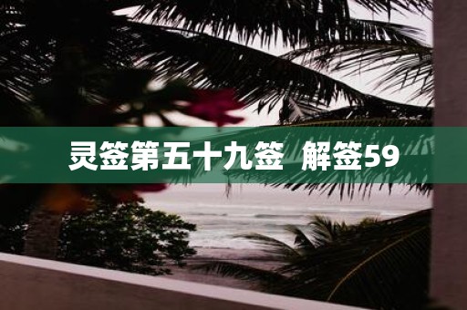 灵签第五十九签 解签59